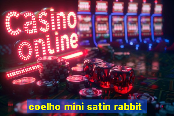 coelho mini satin rabbit